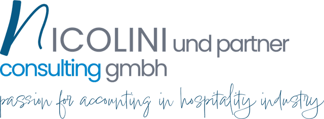 NICOLINI und partner consulting gmbh Logo